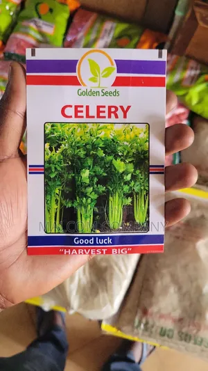 Chinese Vegetable Seeds