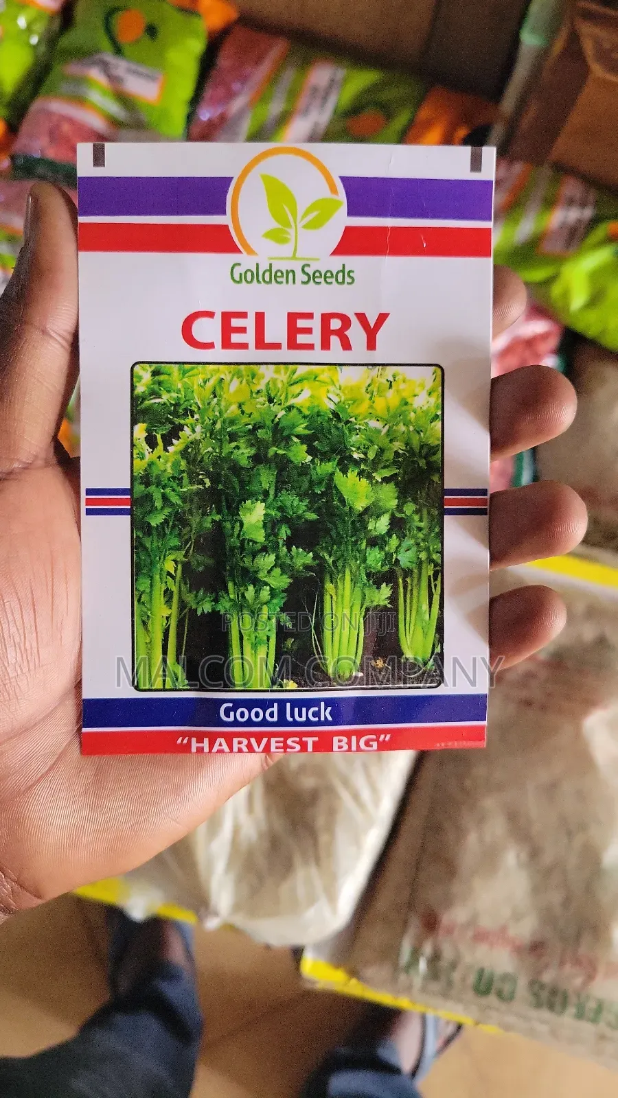 Chinese Vegetable Seeds