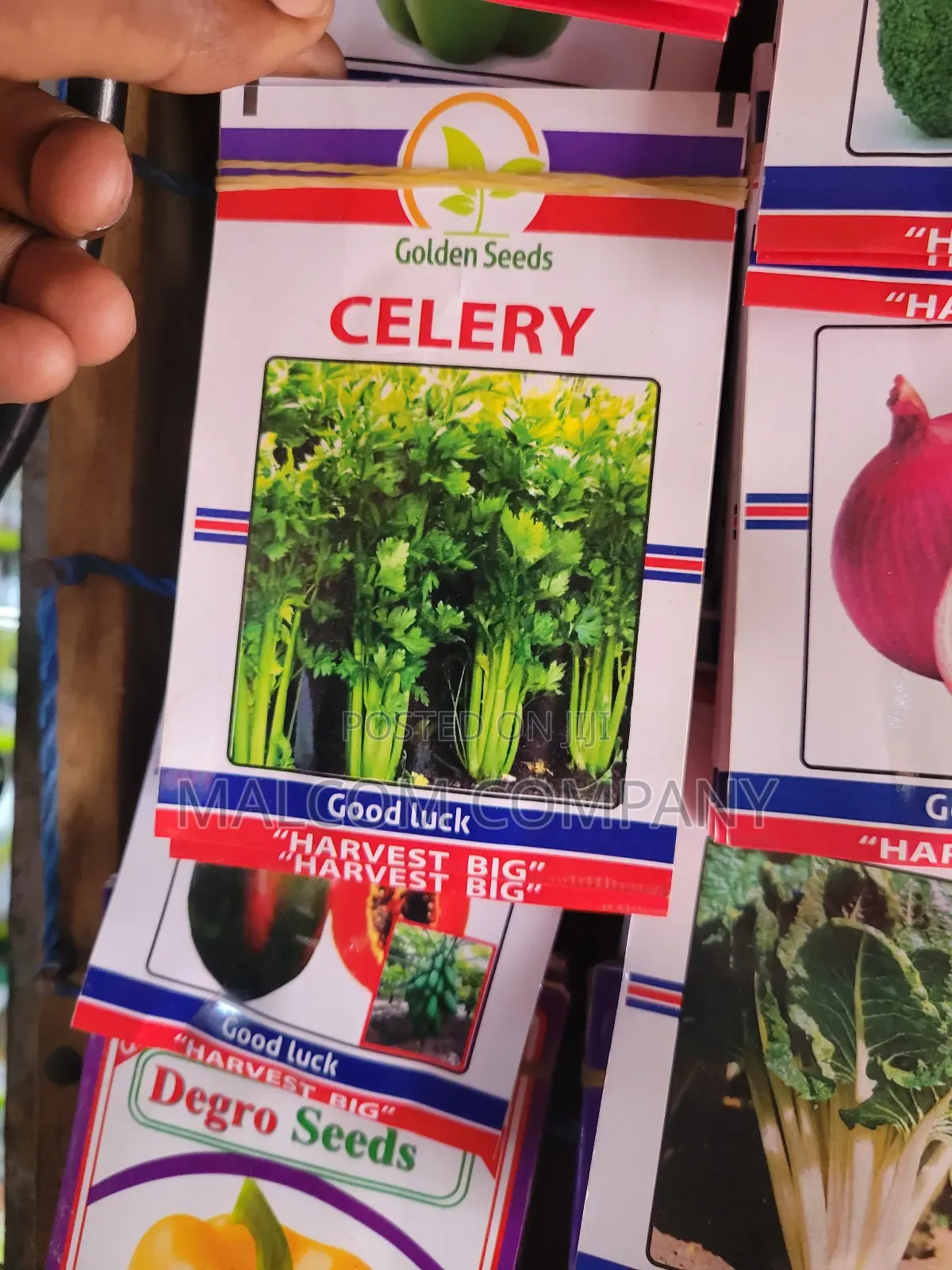 Chinese Vegetable Seeds