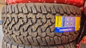 285/60r18 Wild Trac All Terrian