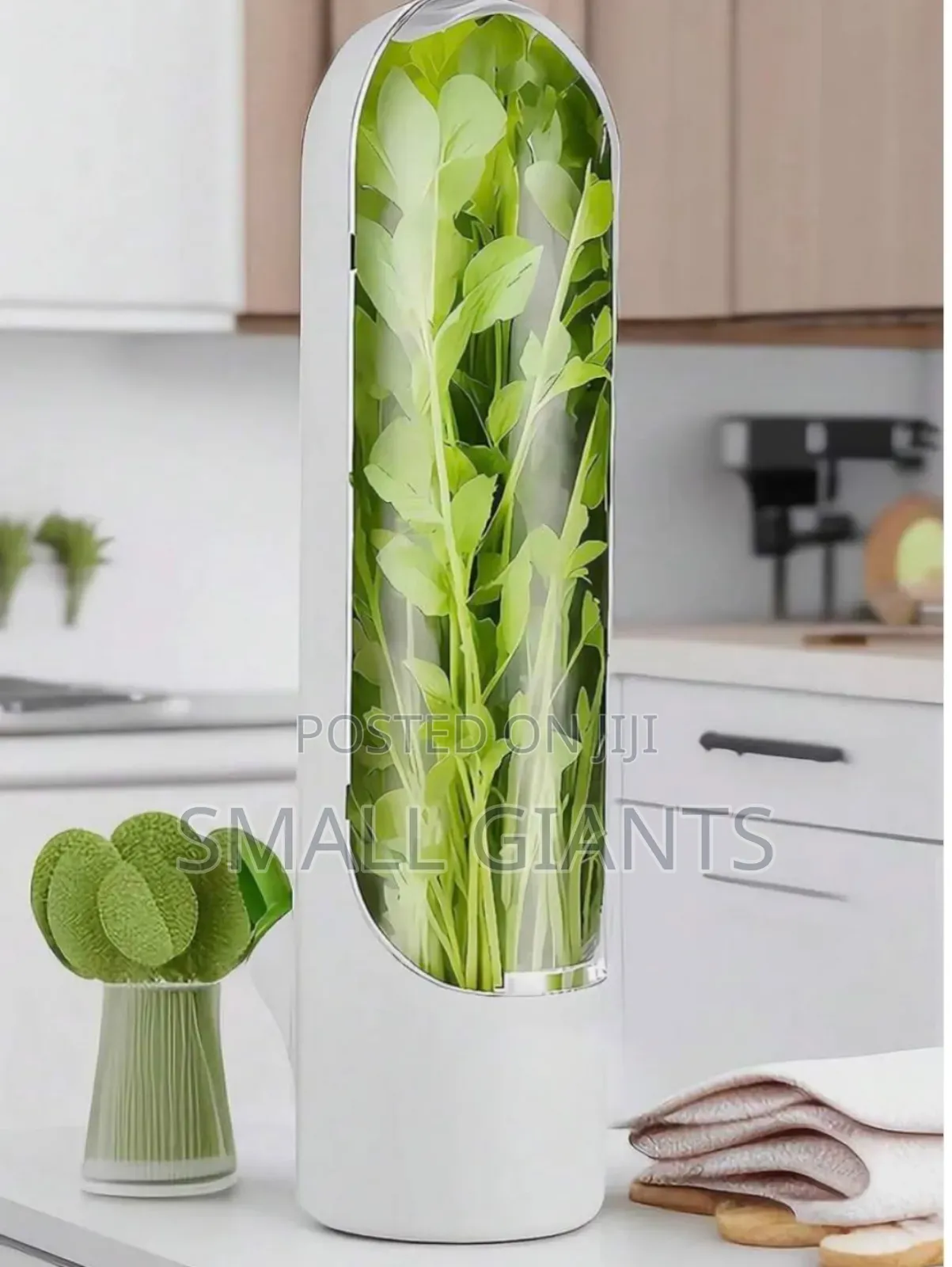 Herbs Storage Container