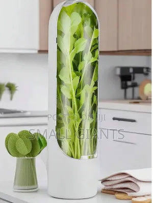 Herbs Storage Container