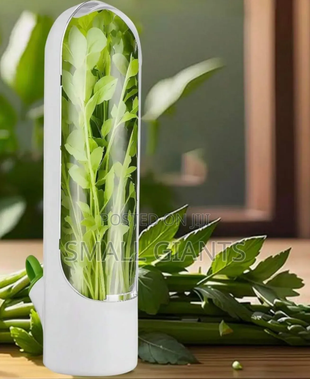 Herbs Storage Container