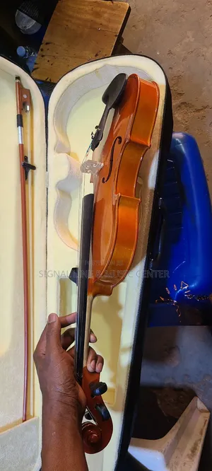 Profesional Violin