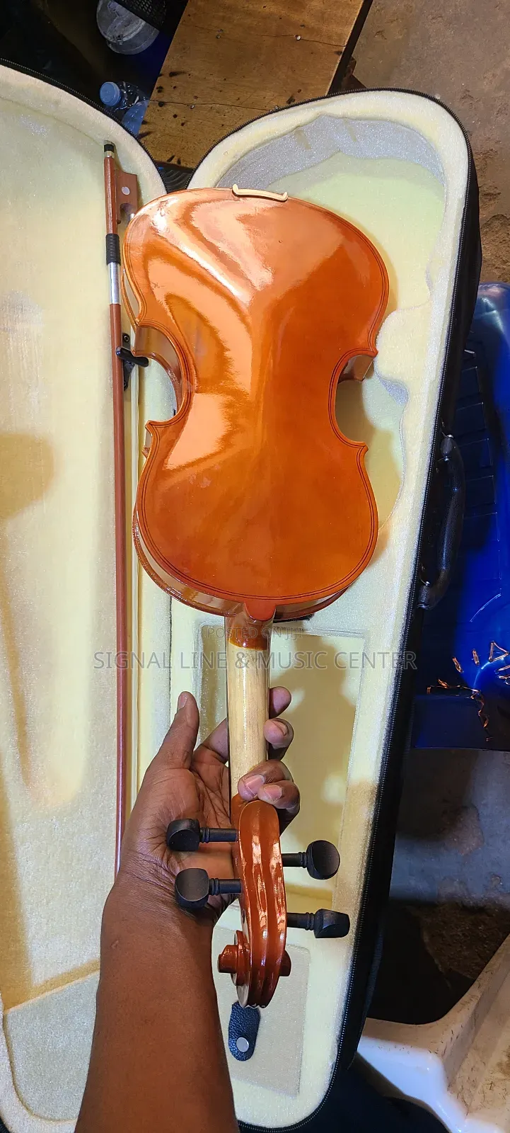 Profesional Violin