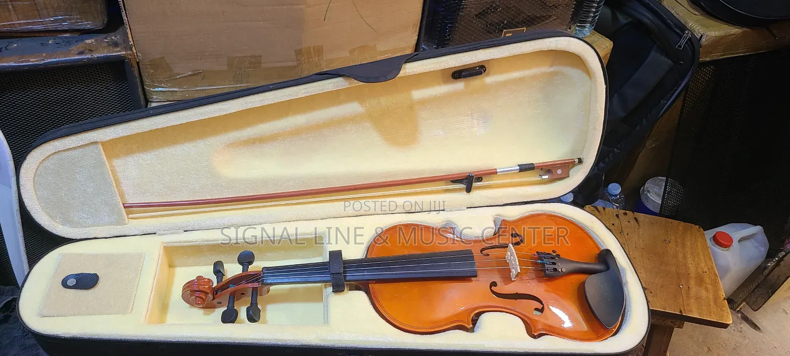 Profesional Violin
