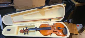 Profesional Violin