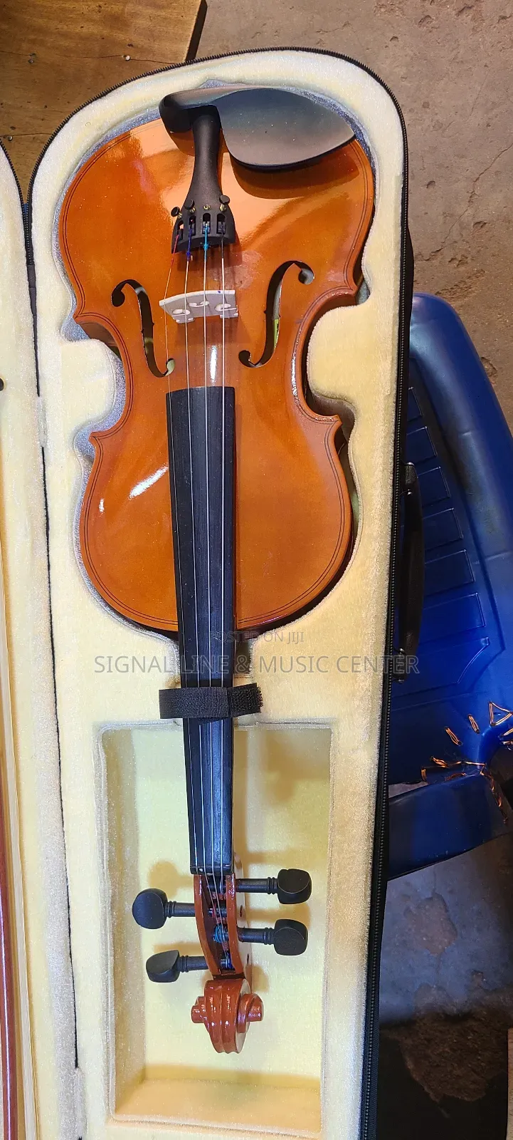 Profesional Violin