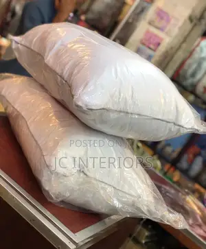 White Plain Pair of Pillows
