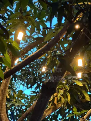 Photo - Outdoor Waterproof String Lights Hanging Bulbs 10m 20 Bulbs
