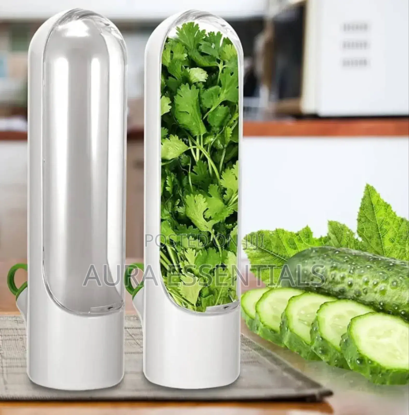 Refrigerator Herb Keeper