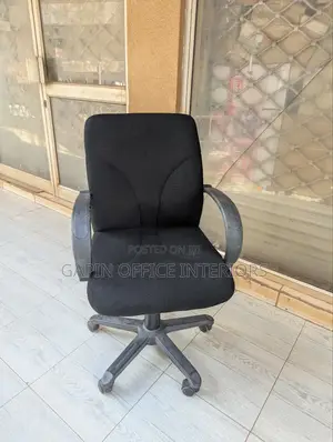 Office Chair With Adjustable Heights, Low Back