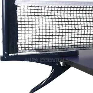 Portable Table Tennis Net and Post Set