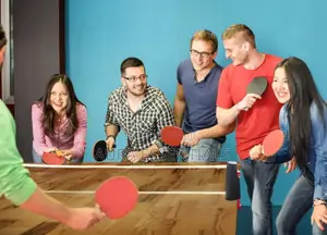 Table Tennis Bat Set