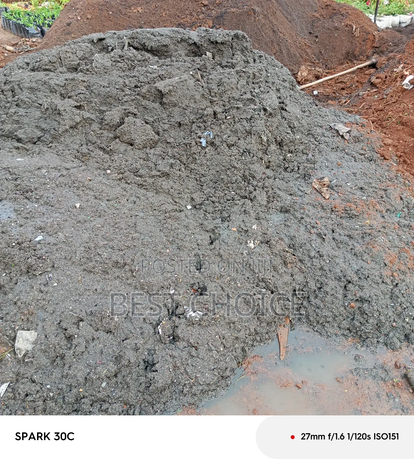Black Soil/Manure