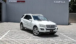 Mercedes-Benz M Class 2010 Pearl