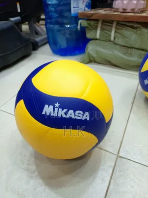 Mikasa Volleyball.