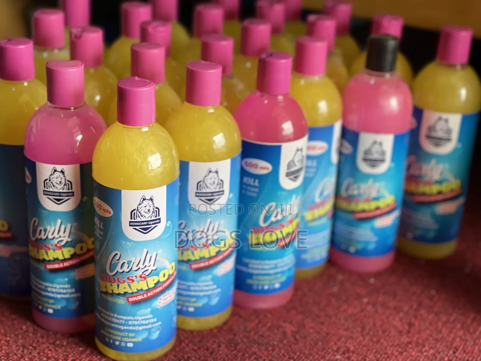 Medicated Dog Shampoo 500mls
