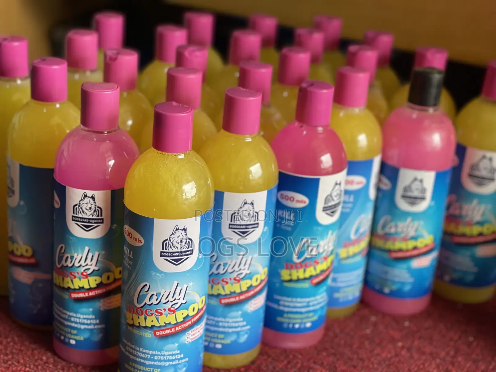 Medicated Dog Shampoo 500mls