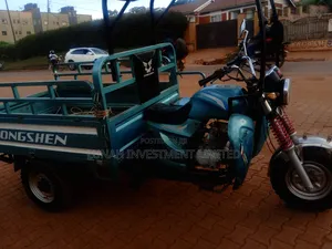 Tricycle 2024 Gold