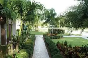 Pearls Compound Designs