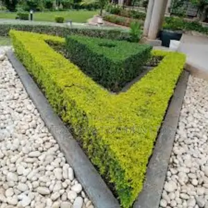 Exterior and Compound Designs