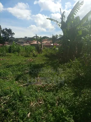 Photo - Plot Of Land 50*42 Ft In Bunamwaya For Sale