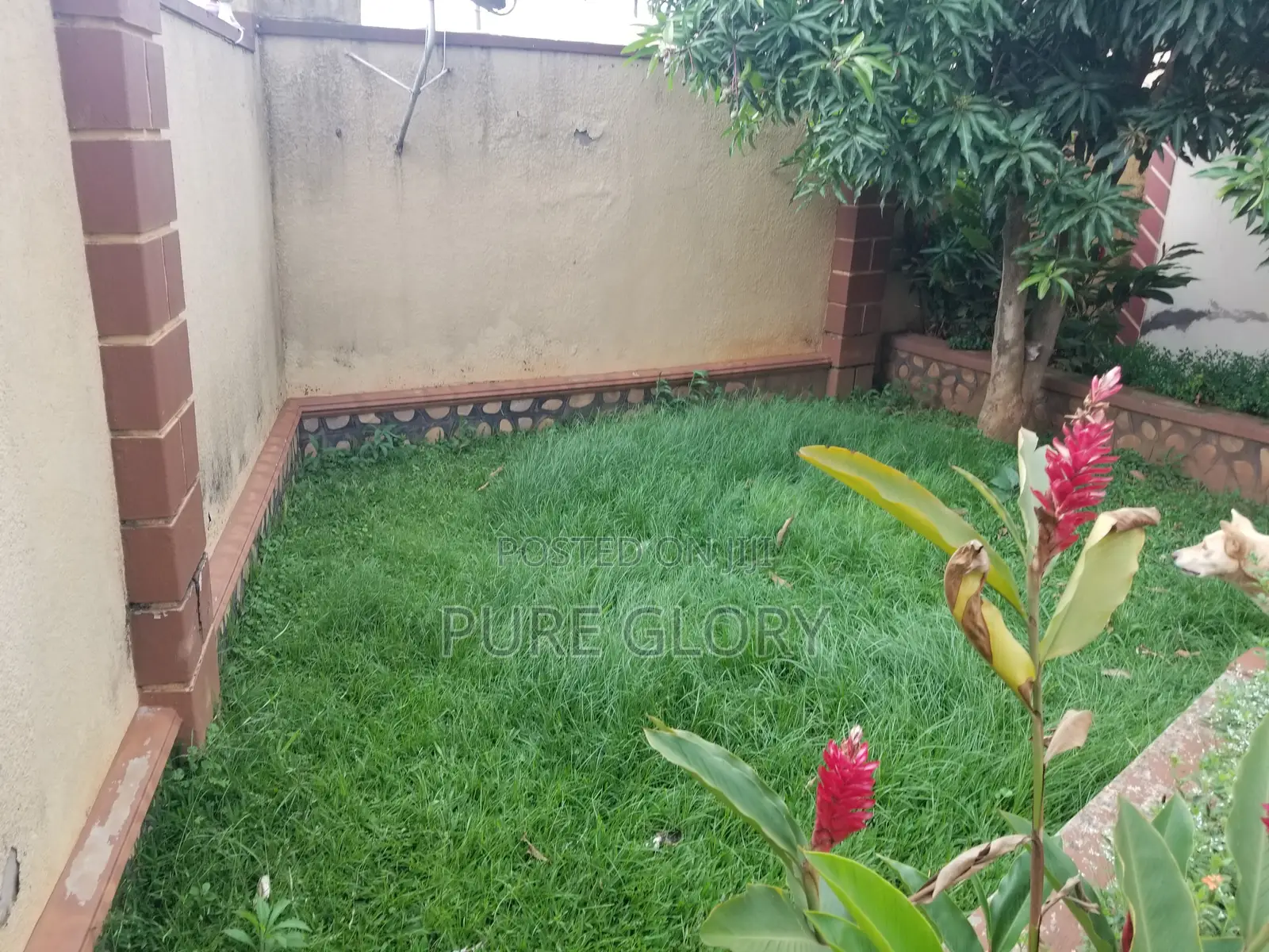3bdrm Bungalow in Buwate, Central Division for sale