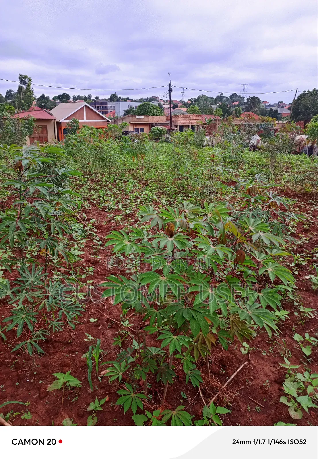 Commercial Plot