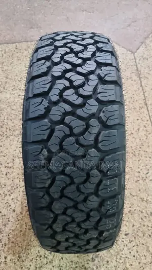 215/65r16 Wild Ranger a/T
