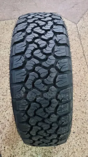 215/65r16 Wild Ranger a/T