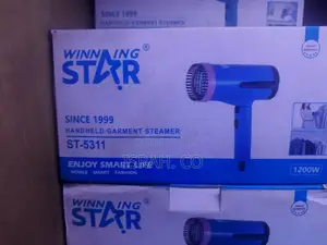 Winning Star" Handheld Garment Steamer, Model St-5311.