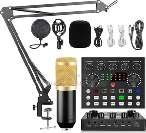 Sound Card Kit Condenser Microphone Set 