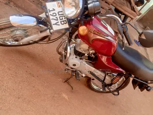 Bajaj Boxer 100 2024 Red