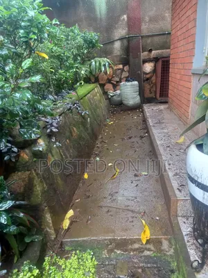 Stone Cleaning Services