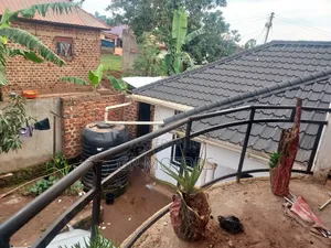 House for Family Rent