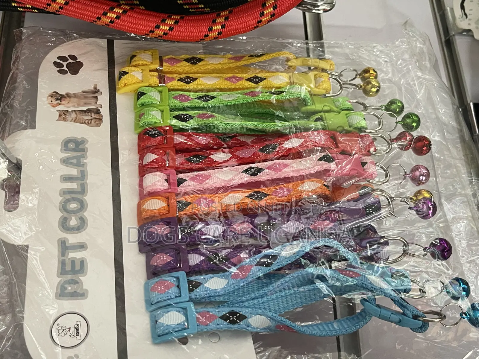 Puppy and Cats Collers