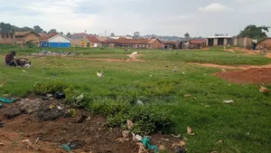 Hot Deal: Prime Kanyanya Plot Priced to Go!