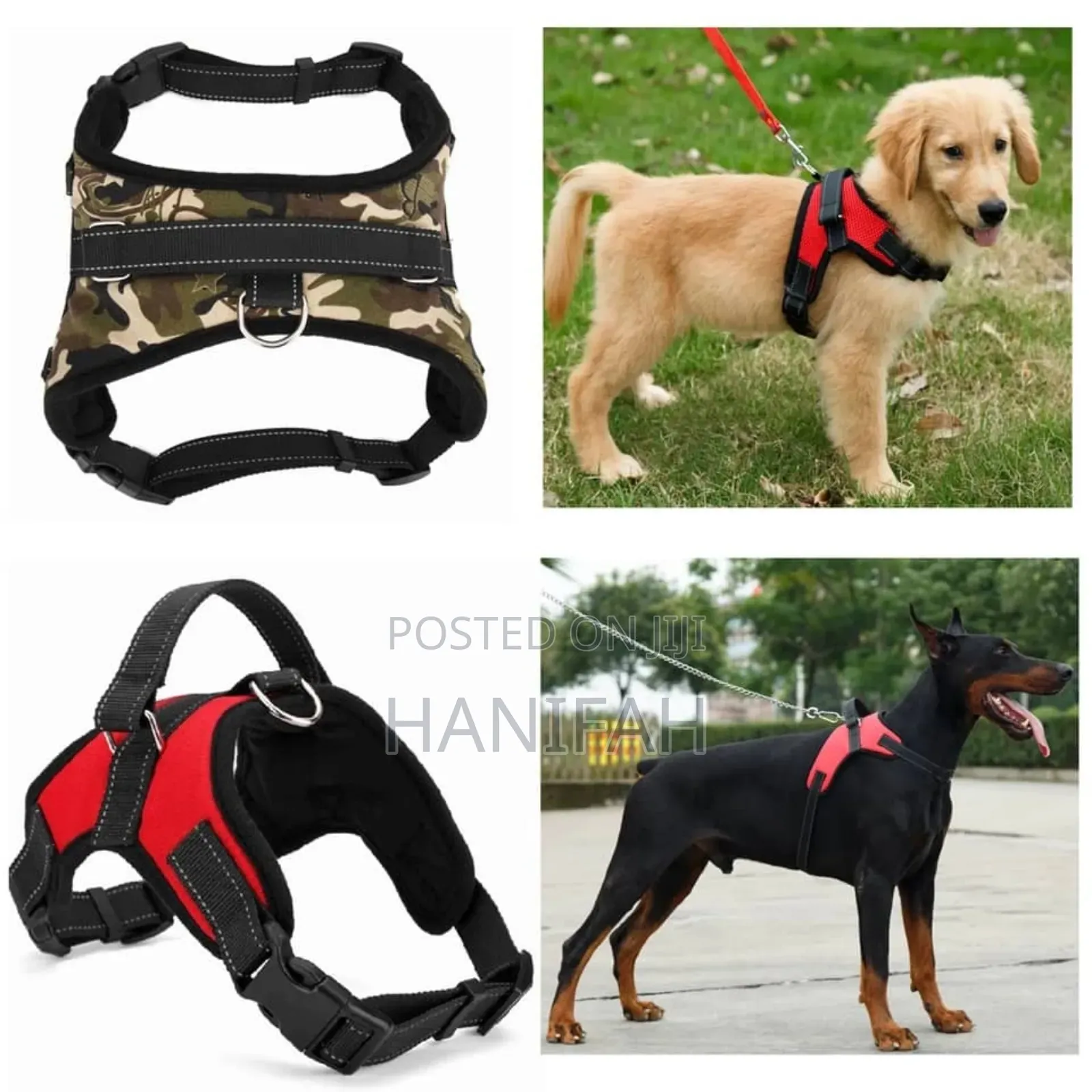 Heavy-Duty Dog Leach With Harness