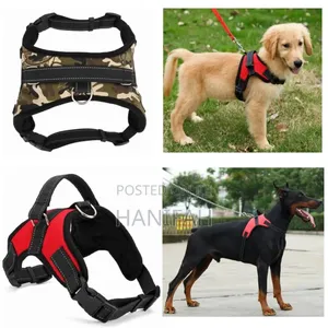 Heavy-Duty Dog Leach With Harness