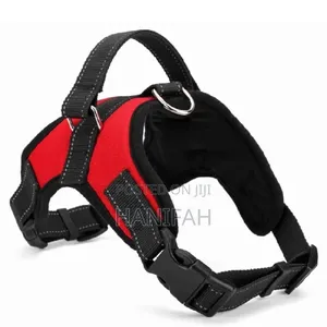 Heavy-Duty Dog Leach With Harness