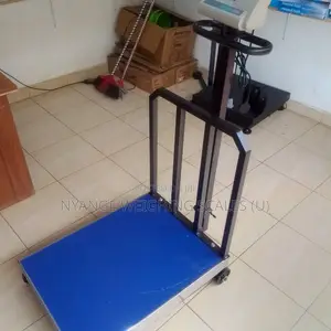 Industry Platform Weighing Scales 700kg Weigh Digital Weighing Scale