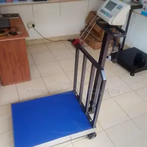 Weigh Platform Weighing Machine M-Cpty 600kg-700kg Weighing Scale