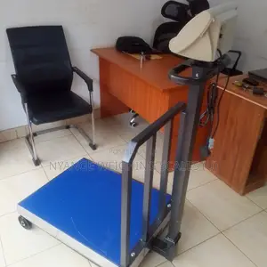 Platform Balance Weigh Weighing Scales M-Cpty 700kg Weigh Scale