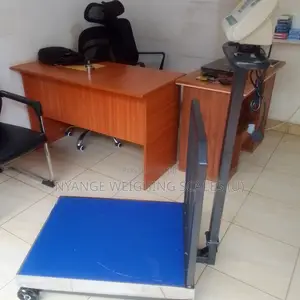 Industrial Weighing Scale Platform Weigh Digital Weighing Scale 700kg
