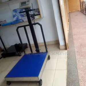 Digital Weigh Scale and Machine Weighing Scales M-Cpty 700kg