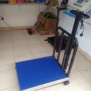 Digital Weigh Industrial Weighing Scales for Sale M-Cpty 700kg Weight