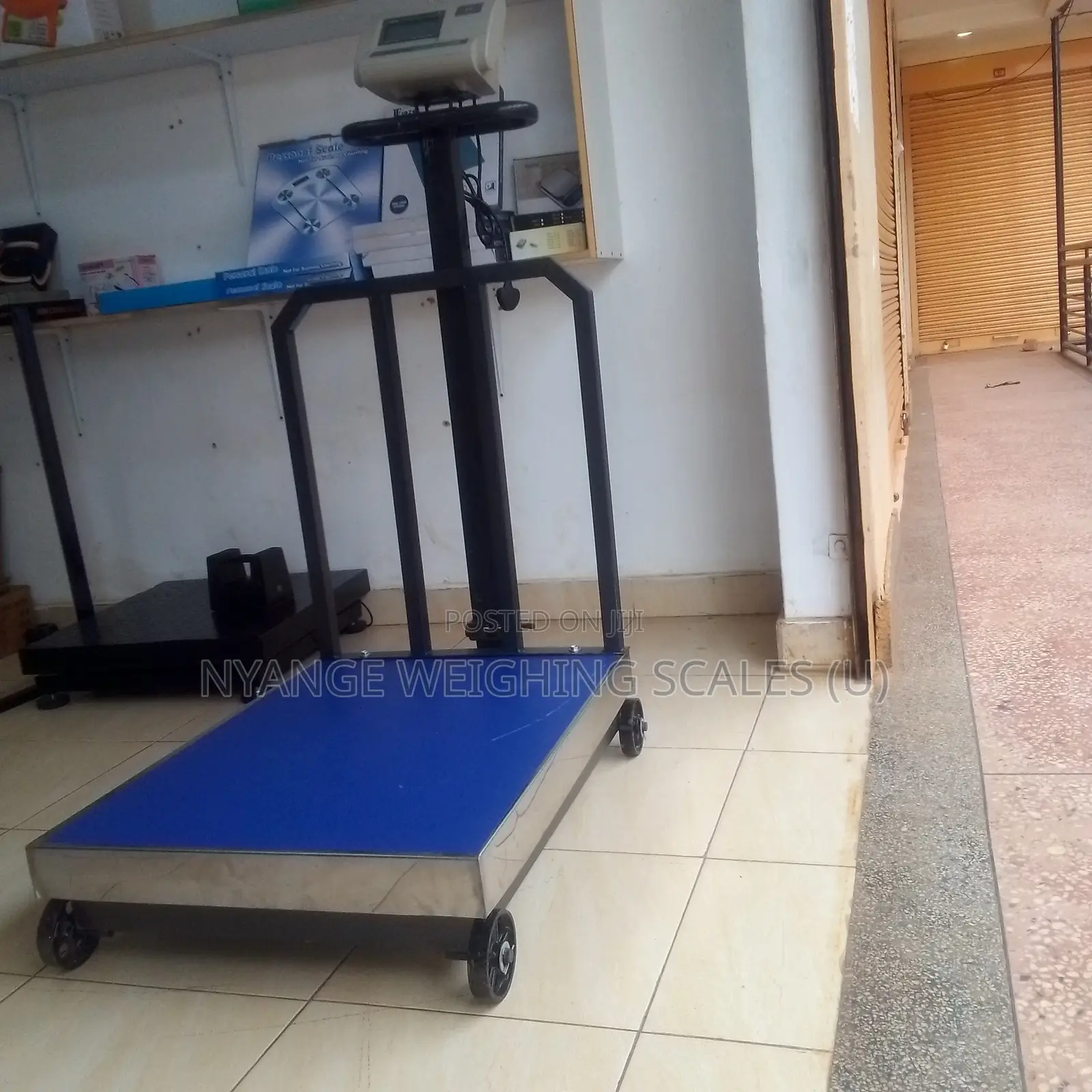 High Accuracy Weighing Scale Stainless Steel Weighing Scale