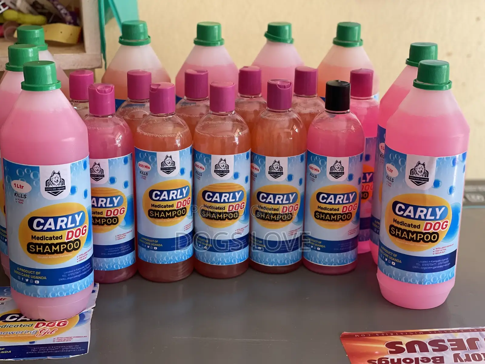 Medicated Dog Shampoo