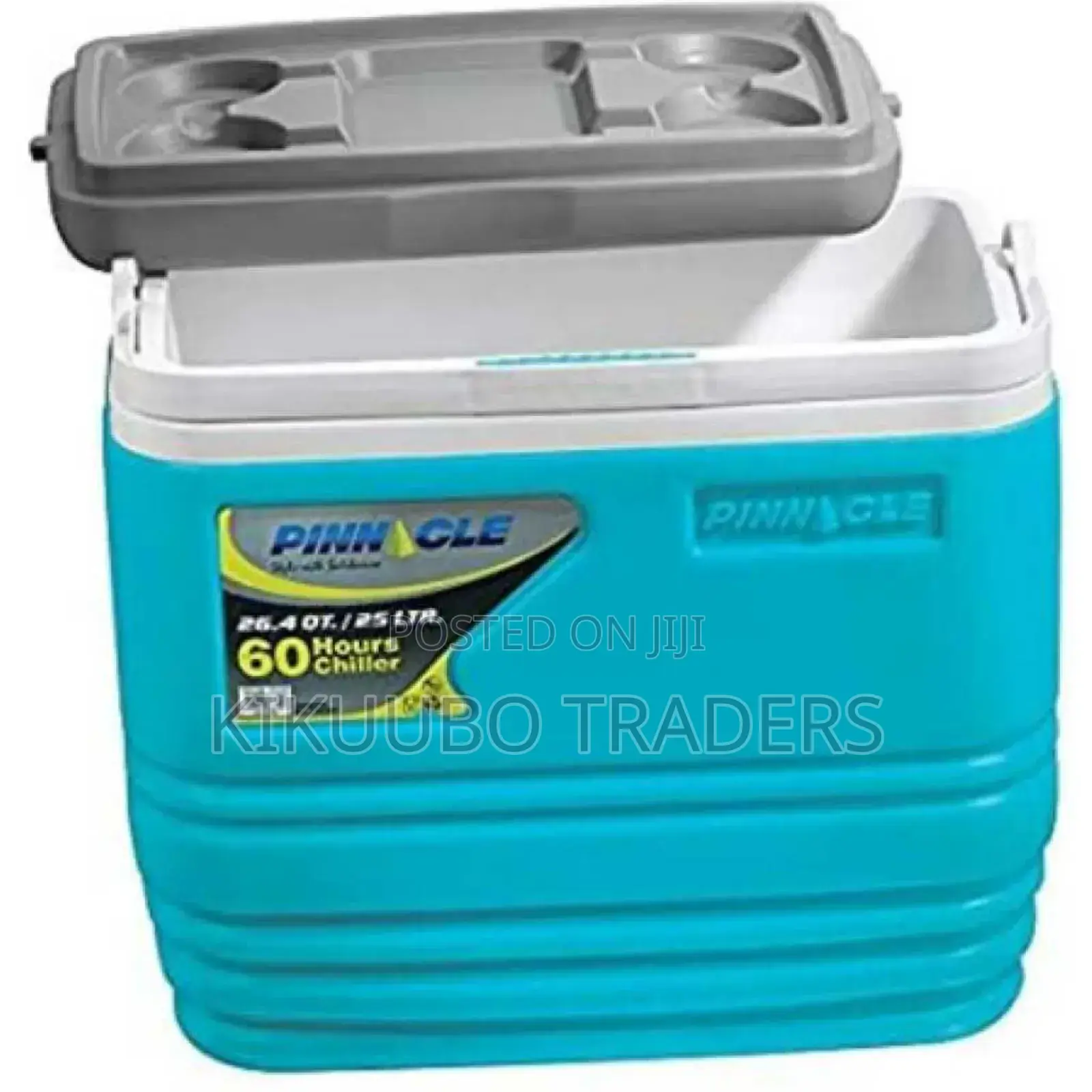 Ice Cooler Box - Blue